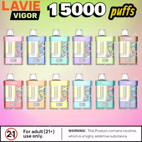 LAVIE VIGOR 15000 Puffs E-Zigarette mit 22ml & Mesh Coil