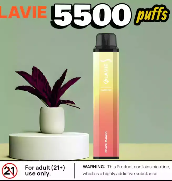 Lavie Ghost pro 5500 Puffs Kompakte Vape mit starken Aromen