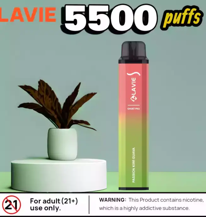 Lavie Ghost pro 5500 Puffs Kompakte Vape mit starken Aromen
