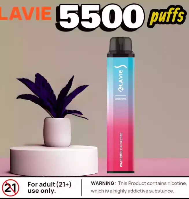 Lavie Ghost pro 5500 Puffs Kompakte Vape mit starken Aromen