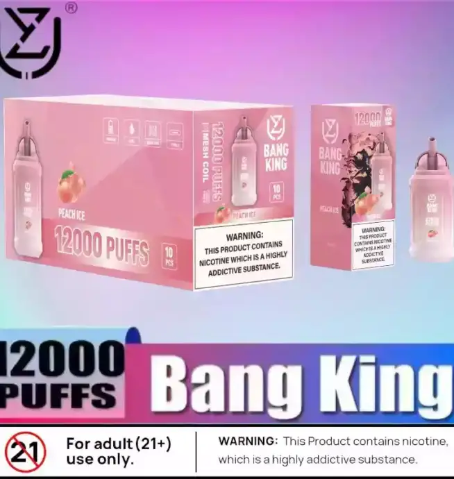UZY Bang King 12000 Puffs Leistungsstarke E-Zigarette mit 23ml Liquid