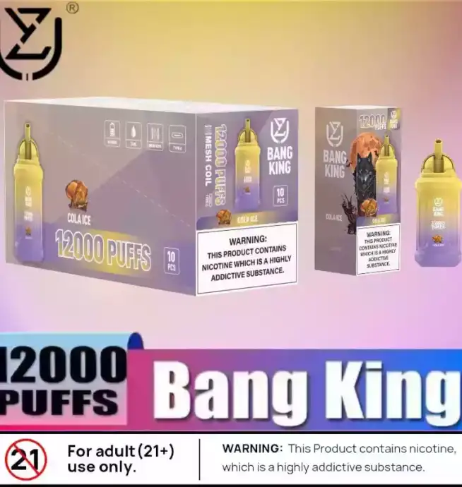 UZY Bang King 12000 Puffs Leistungsstarke E-Zigarette mit 23ml Liquid