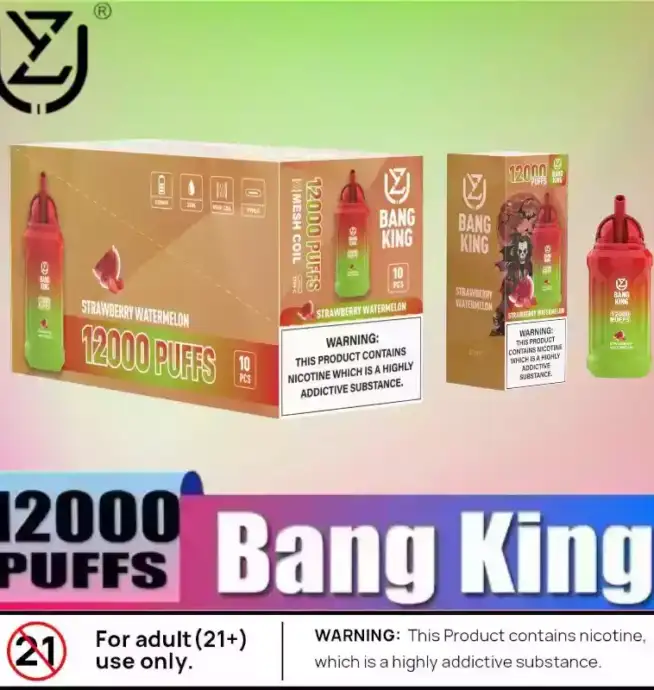 UZY Bang King 12000 Puffs Leistungsstarke E-Zigarette mit 23ml Liquid
