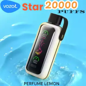 Vozol Star 20000 Puffs Langanhaltender Genuss mit USB-C und Dual Mesh