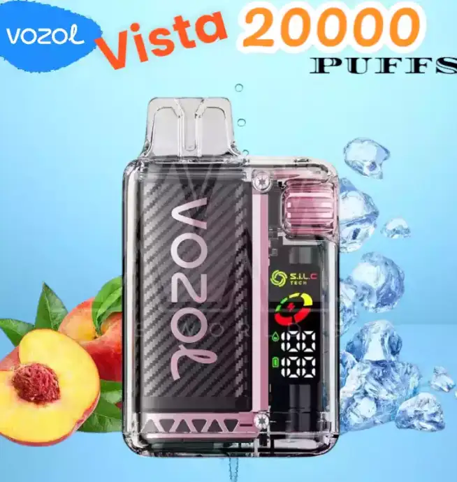 Vozol Vista 20000 Puffs Langlebig umweltfreundlich & verstellbare Leistung