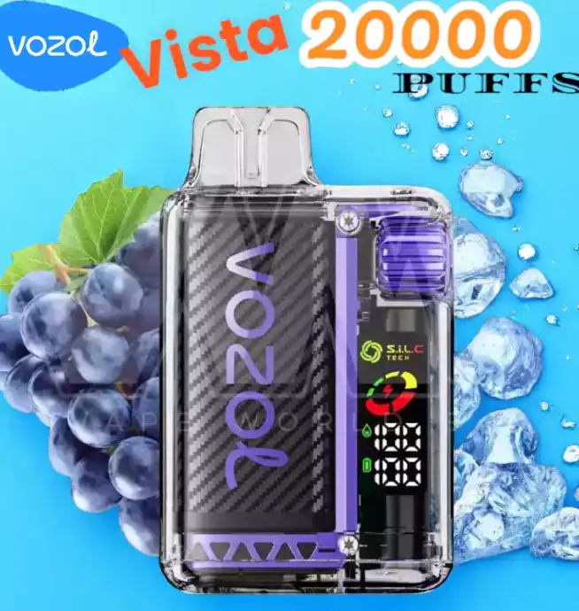 Vozol Vista 20000 Puffs Langlebig umweltfreundlich & verstellbare Leistung