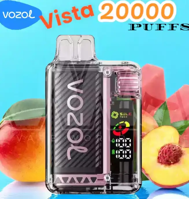 Vozol Vista 20000 Puffs Langlebig umweltfreundlich & verstellbare Leistung