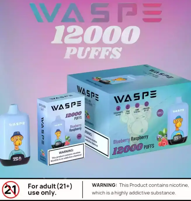 Waspe 12000 Puffs Digital Box Langanhaltender Vape mit LCD und Mesh Coil