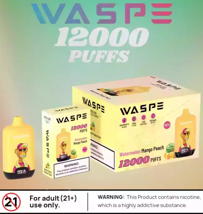 Waspe 12000 Puffs Digital Box Langanhaltender Vape mit LCD und Mesh Coil