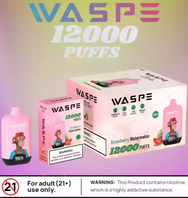 Waspe 12000 Puffs Digital Box Langanhaltender Vape mit LCD und Mesh Coil