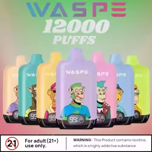 Waspe 12000 Puffs Digital Box Langanhaltender Vape mit LCD und Mesh Coil