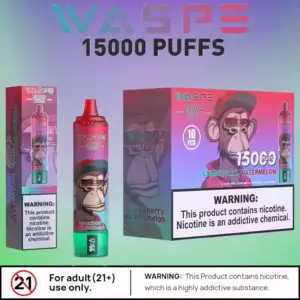 Waspe 15000 Puffs Langanhaltender Vape mit Mesh Coil und LCD