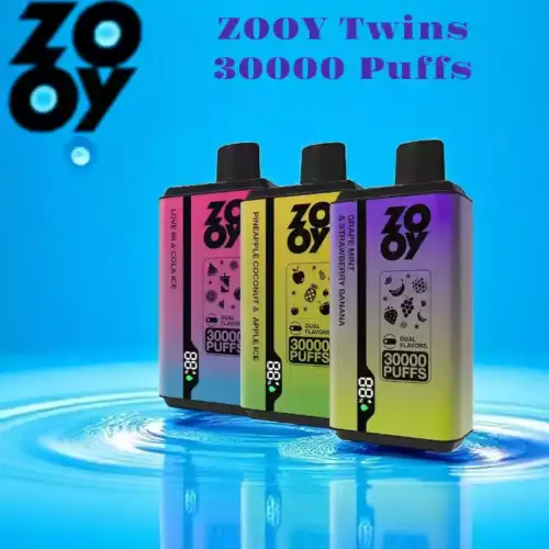 ZOOY Twins 30000 Puffs Langanhaltender Genuss mit Dual Mesh Coil