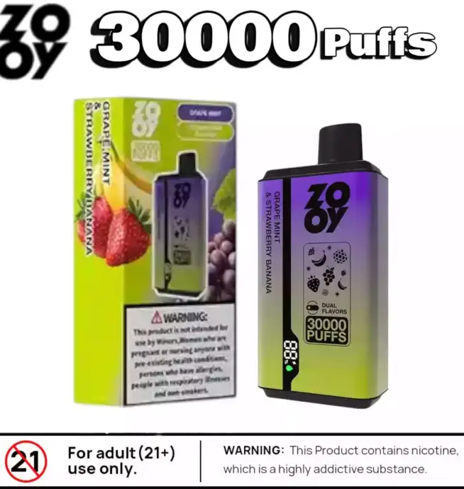 ZOOY Twins 30000 Puffs Langanhaltender Genuss mit Dual Mesh Coil