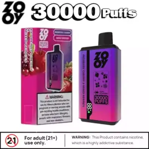 ZOOY Twins 30000 Puffs Langanhaltender Genuss mit Dual Mesh Coil