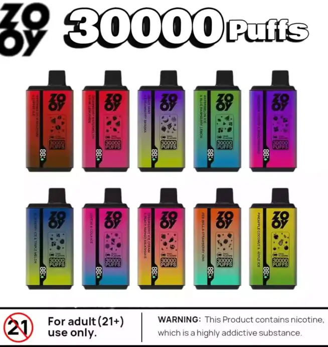 ZOOY Twins 30000 Puffs Langanhaltender Genuss mit Dual Mesh Coil