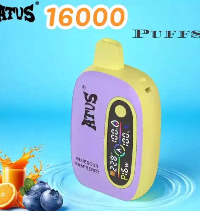 ATVS 16000 Puffs Disposable Vape Langlebiger Einweg Vape mit 15ml Liquid
