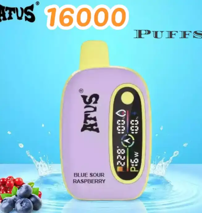 ATVS 16000 Puffs Disposable Vape Langlebiger Einweg Vape mit 15ml Liquid