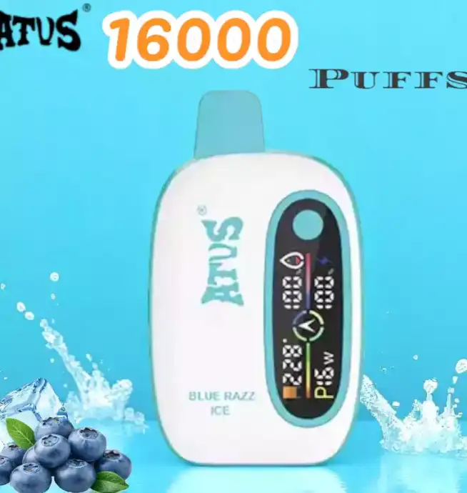 ATVS 16000 Puffs Disposable Vape Langlebiger Einweg Vape mit 15ml Liquid