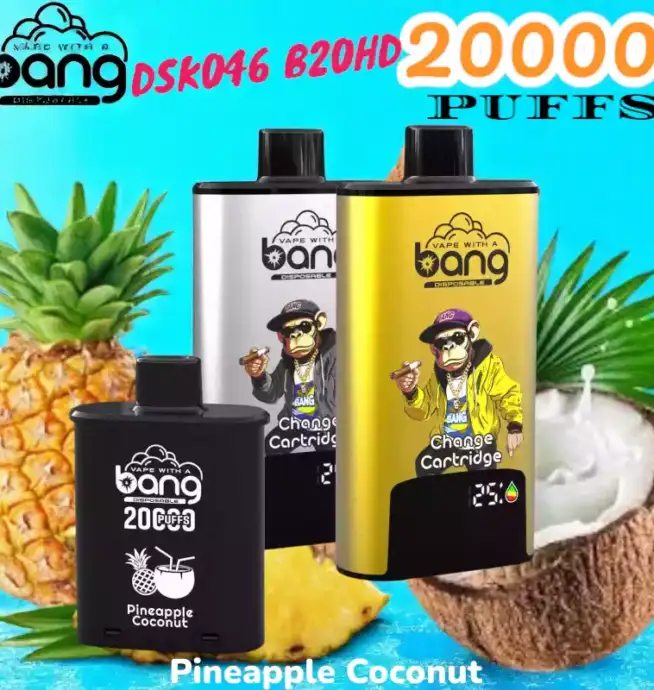 BANG 20000 PUFFS DSK046 Disposable Vape 20 ml 20000 Züge Type C – Bild 12