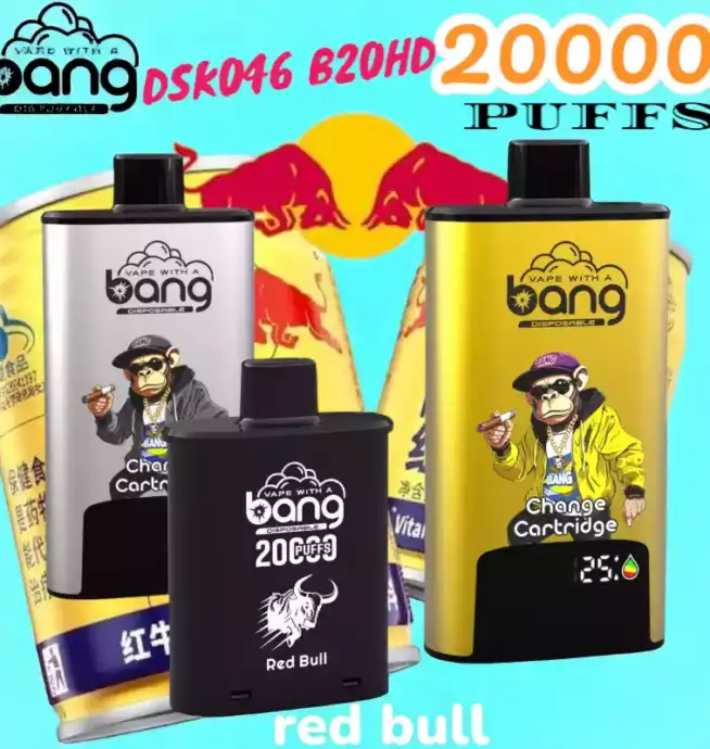 BANG 20000 PUFFS DSK046 Disposable Vape 20 ml 20000 Züge Type C