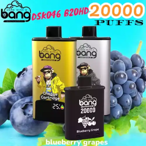 BANG 20000 PUFFS DSK046 Disposable Vape 20 ml 20000 Züge Type C