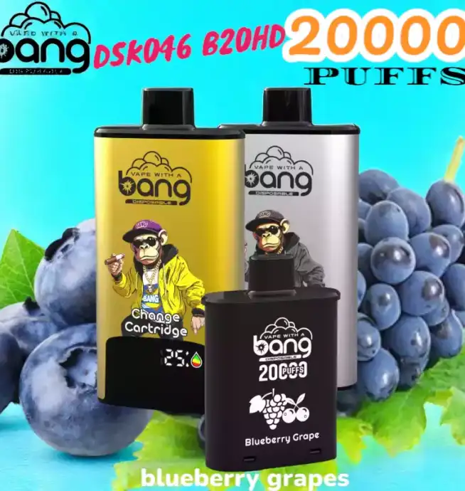BANG 20000 PUFFS DSK046 Disposable Vape 20 ml 20000 Züge Type C