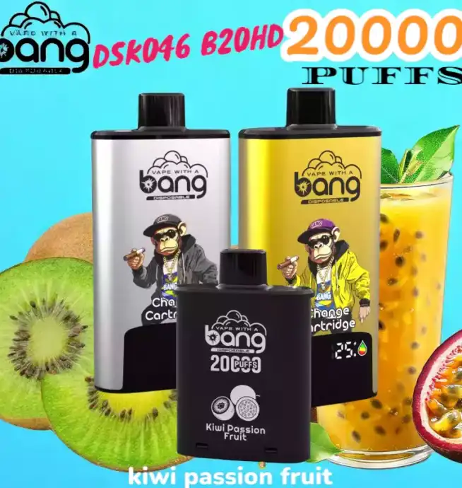 BANG 20000 PUFFS DSK046 Disposable Vape 20 ml 20000 Züge Type C