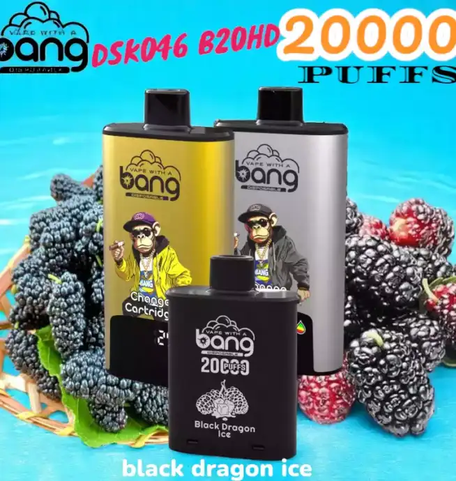 BANG 20000 PUFFS DSK046 Disposable Vape 20 ml 20000 Züge Type C