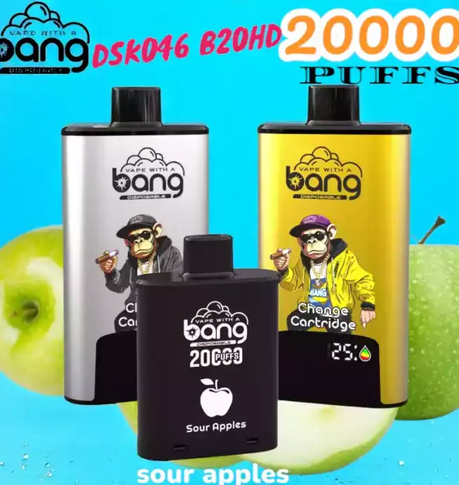 BANG 20000 PUFFS DSK046 Disposable Vape 20 ml 20000 Züge Type C