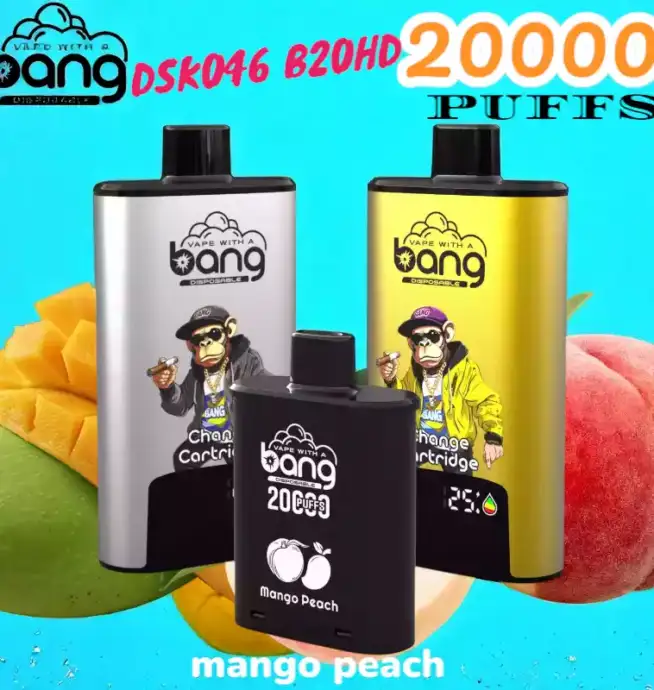 BANG 20000 PUFFS DSK046 Disposable Vape 20 ml 20000 Züge Type C