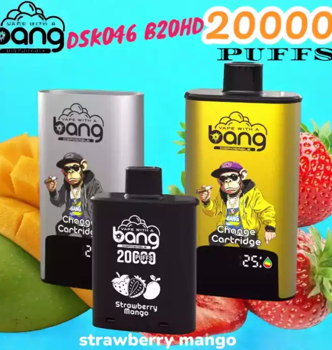 BANG 20000 PUFFS DSK046 Disposable Vape 20 ml 20000 Züge Type C