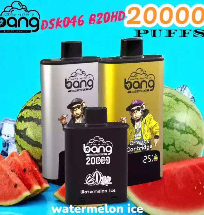 BANG 20000 PUFFS DSK046 Disposable Vape 20 ml 20000 Züge Type C