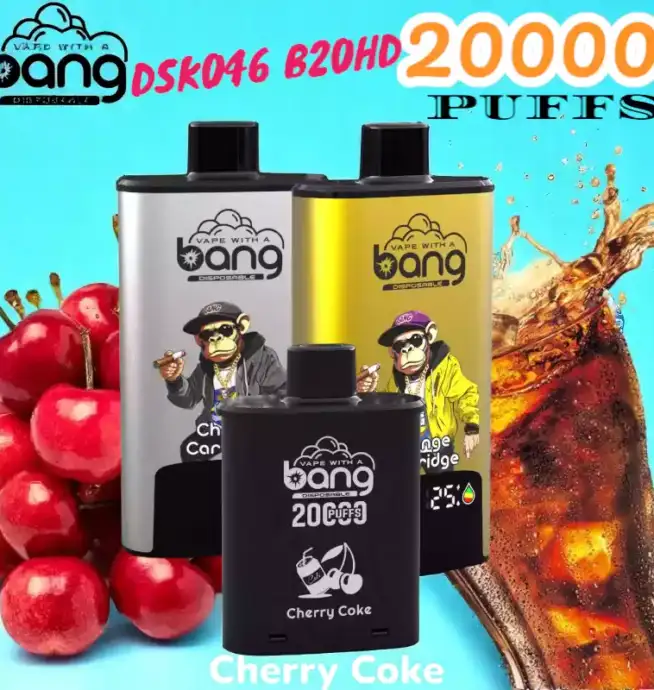 BANG 20000 PUFFS DSK046 Disposable Vape 20 ml 20000 Züge Type C