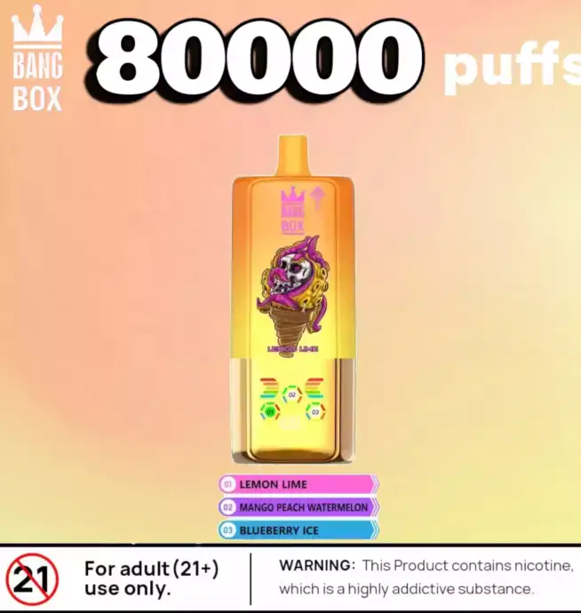 BANG BOX 80000 Puffs Disposable Vape mit 3 Flavors & Display