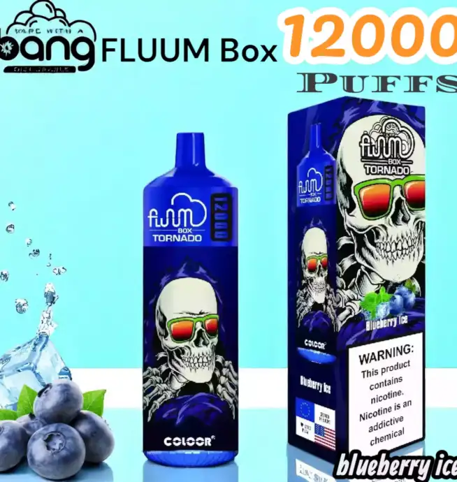 BANG FLUUM Box 12000 Puffs Disposable Vape mit 12.000 Zügen & 20ml Liquid