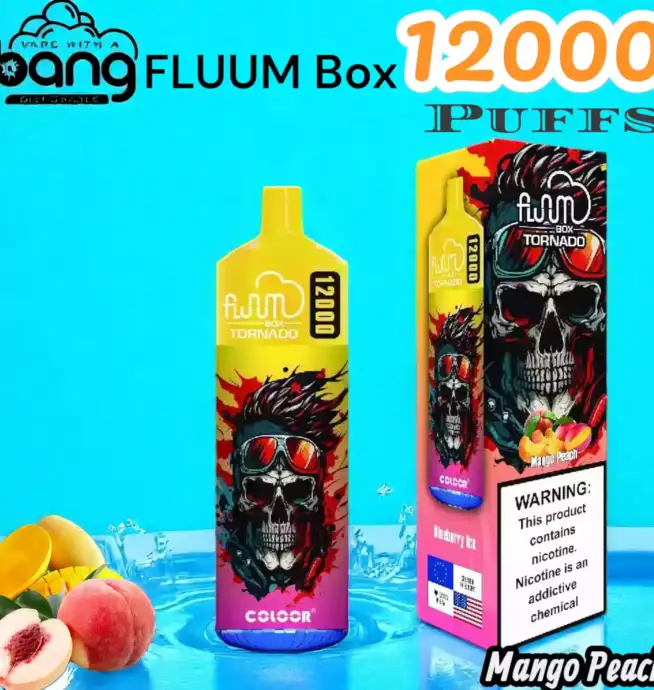 BANG FLUUM Box 12000 Puffs Disposable Vape mit 12.000 Zügen & 20ml Liquid