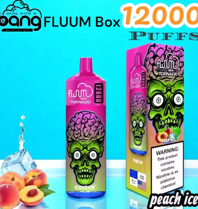 BANG FLUUM Box 12000 Puffs Disposable Vape mit 12.000 Zügen & 20ml Liquid