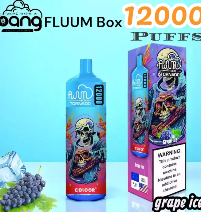 BANG FLUUM Box 12000 Puffs Disposable Vape mit 12.000 Zügen & 20ml Liquid