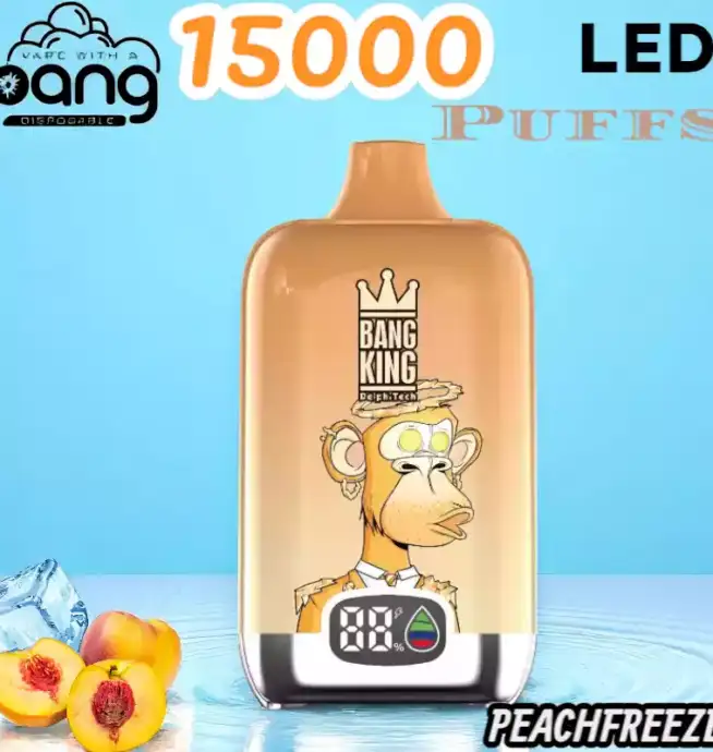 BANG King 15000 Puffs LED Einweg Vape mit 25ml E-Liquid & Type-C