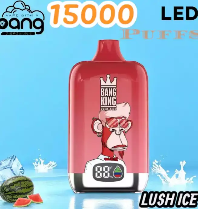 BANG King 15000 Puffs LED Einweg Vape mit 25ml E-Liquid & Type-C