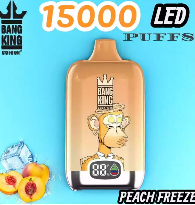 BANG King 15000 Puffs LED Einweg Vape mit 25ml E-Liquid & Type-C