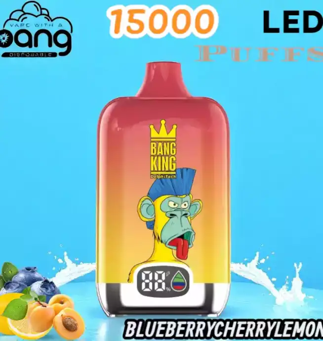 BANG King 15000 Puffs LED Einweg Vape mit 25ml E-Liquid & Type-C