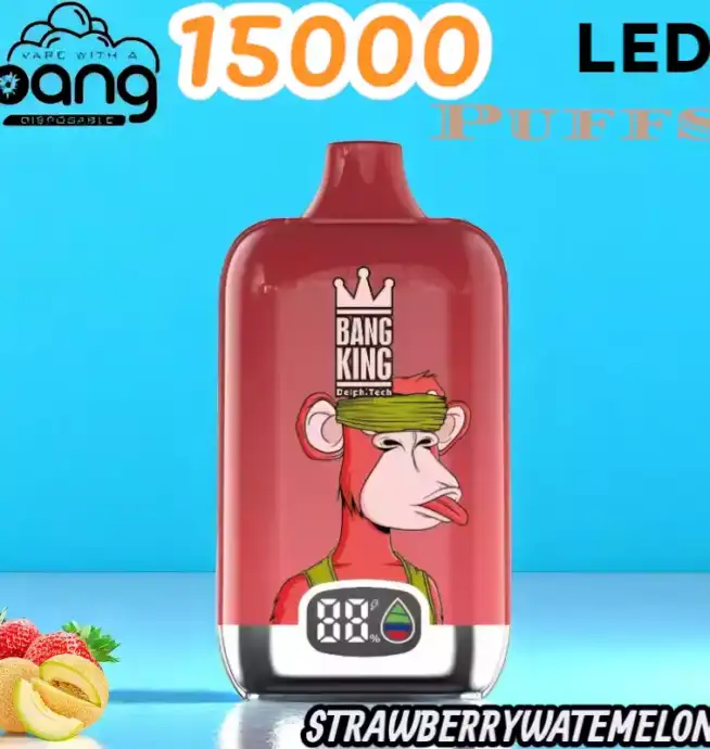 BANG King 15000 Puffs LED Einweg Vape mit 25ml E-Liquid & Type-C