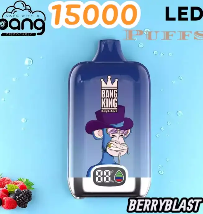 BANG King 15000 Puffs LED Einweg Vape mit 25ml E-Liquid & Type-C