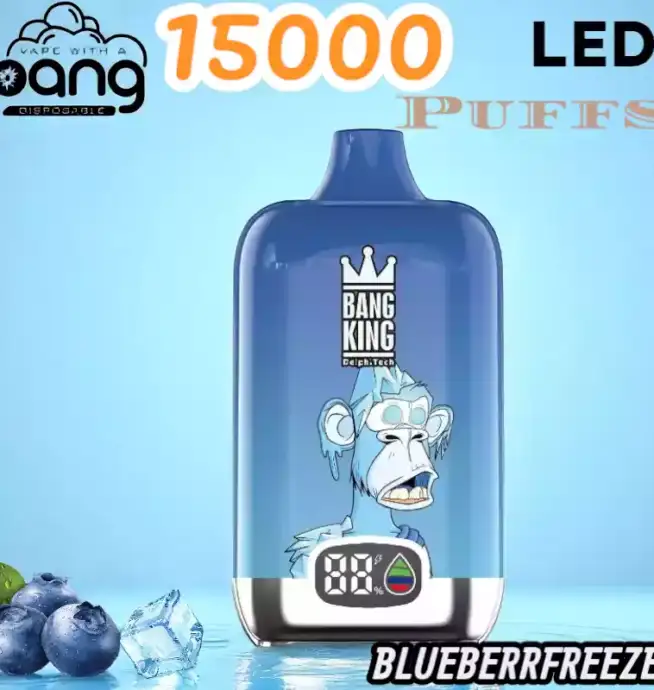 BANG King 15000 Puffs LED Einweg Vape mit 25ml E-Liquid & Type-C