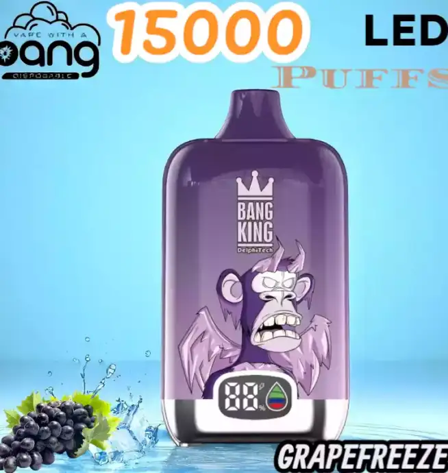 BANG King 15000 Puffs LED Einweg Vape mit 25ml E-Liquid & Type-C