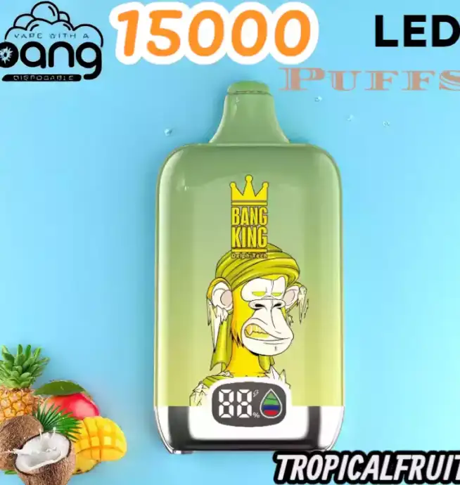 BANG King 15000 Puffs LED Einweg Vape mit 25ml E-Liquid & Type-C