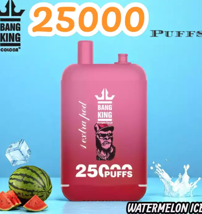 BANG King 25000 Puffs Disposable Vape 25.000 Züge Wiederaufladbar Fruchtige Aromen – Bild 2
