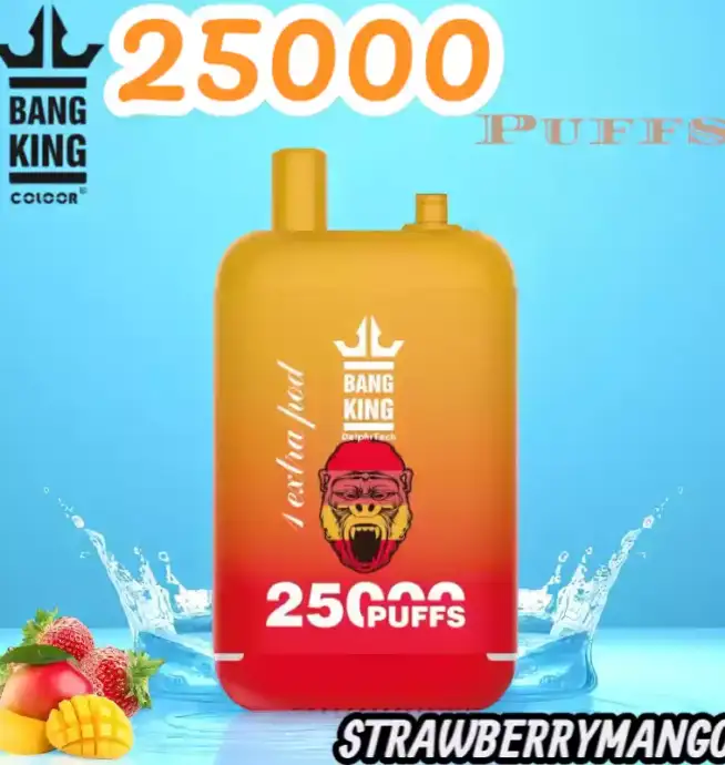 BANG King 25000 Puffs Disposable Vape 25.000 Züge Wiederaufladbar Fruchtige Aromen